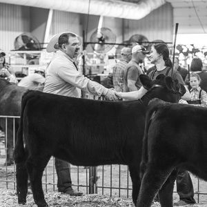 Meet your Posher, Jacey